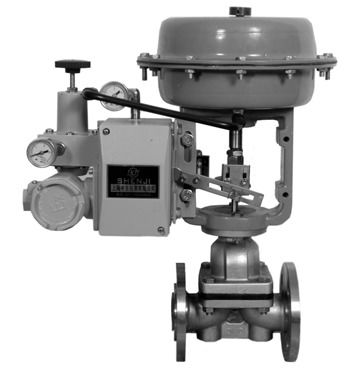Industrial Valves manufacturer from China